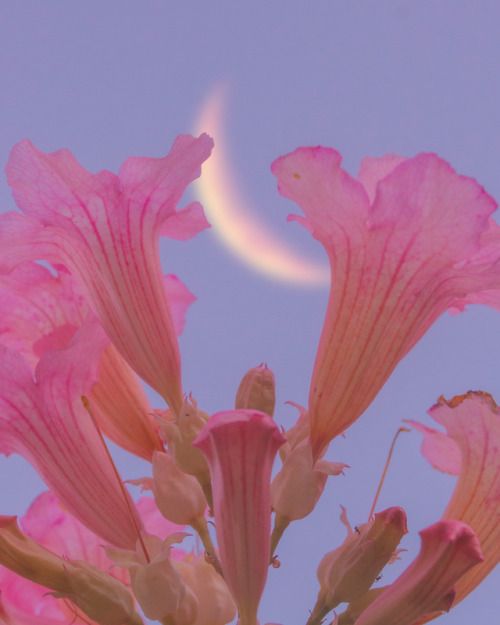 The Art of Letting Go: How to Release and Move Forward