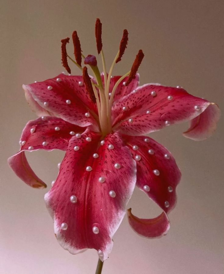 Affirmations of the Week