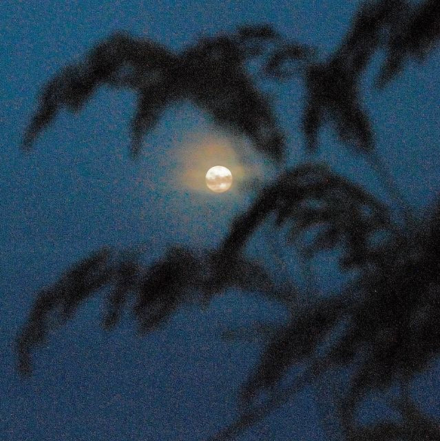 Sagittarius Full Moon: Releasing Limiting Beliefs & Exploring New Horizons