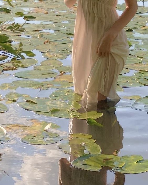 Holistic Medicine and the Healing Power of Plants: A Time-Tested Tradition