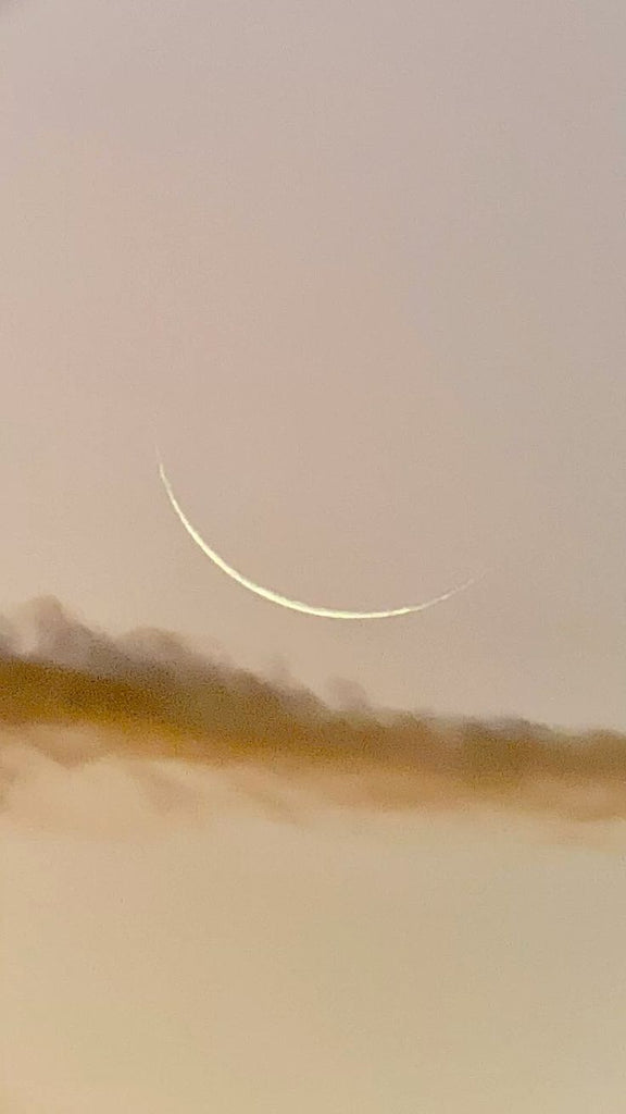 Of The Moon Website